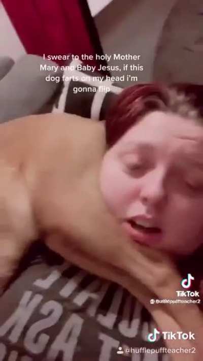 Dog: imma end this woman&rsquo;s whole career