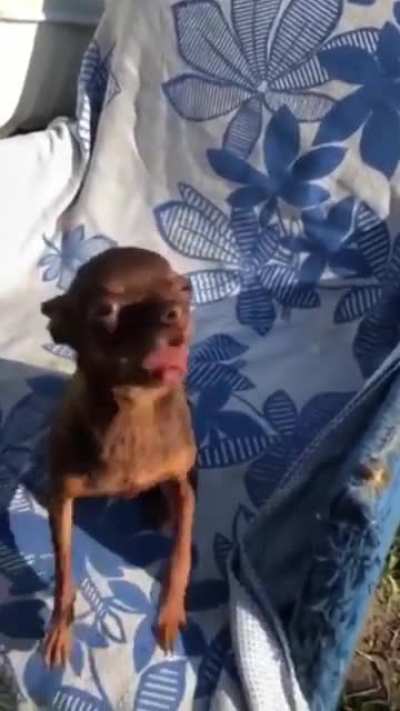 Fear Me!