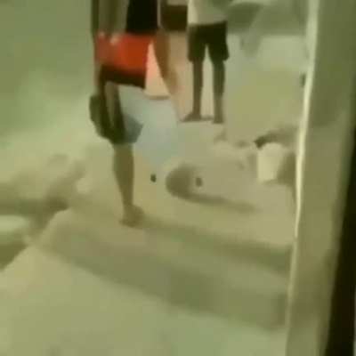 XD