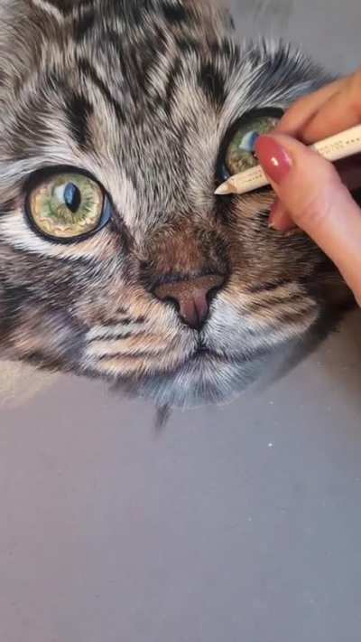 Bringing this beautiful cat to life in soft pastels for someone &ndash; WIP