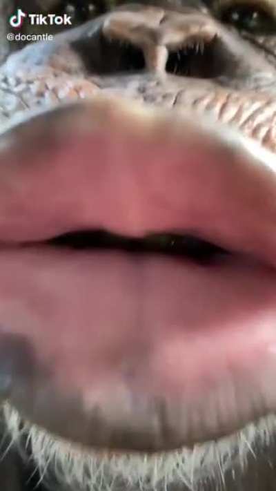 Beso del admin 😳