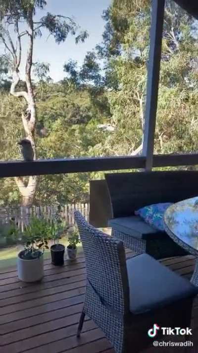 The finger looked better
