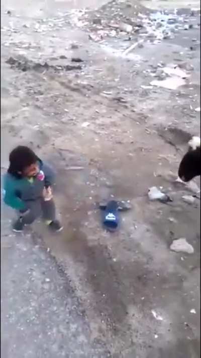 Sheep-1.....grown man- 0