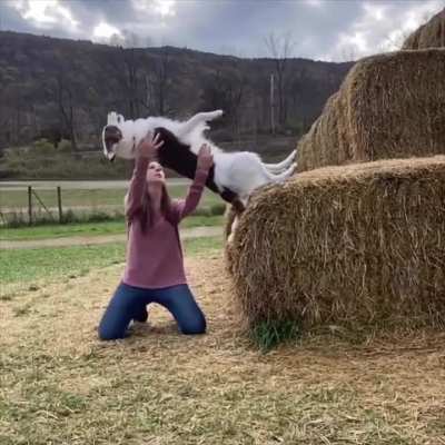Trust fall