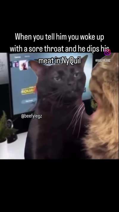 gay😾irl