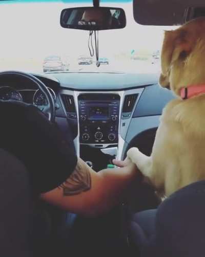 on a car ride