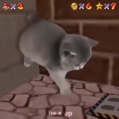 Wunk