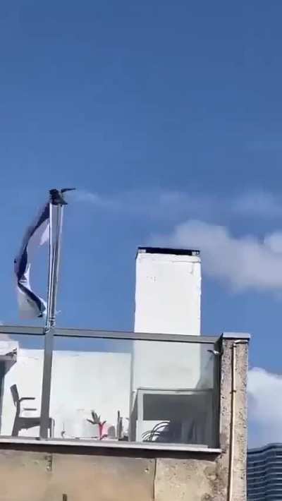 A crow seen removing an Israeli flag