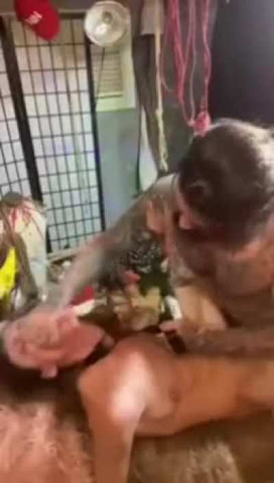 Name pls?