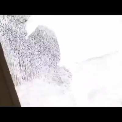 they're coming for you