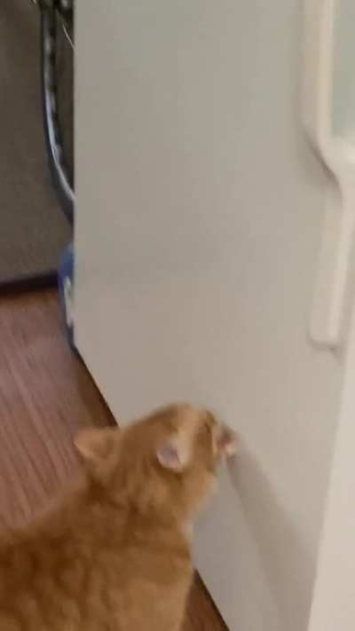 Attack From Behind