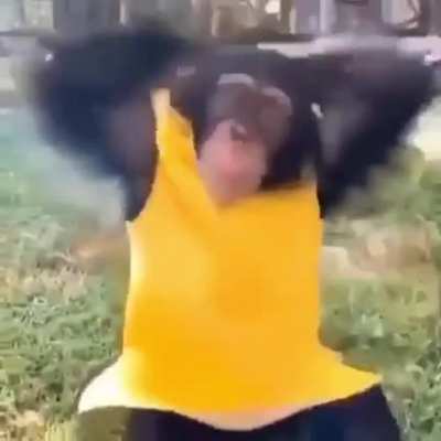 MONKE PL&Aacute;TANO TORINO