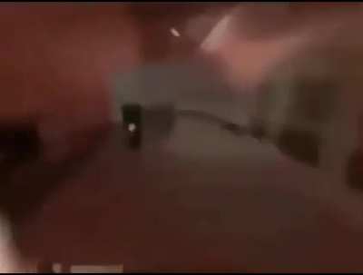 Furry Spedrun