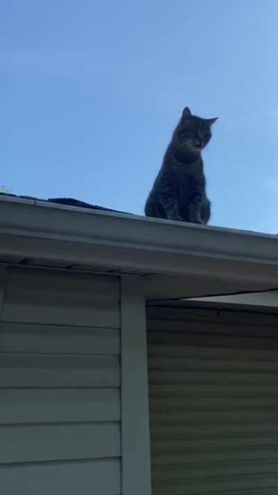 Mom sent me this; Gus had a lot of explaining to do&hellip;