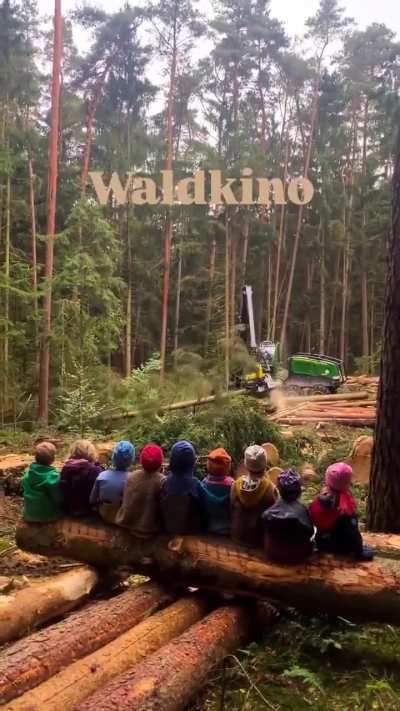 Average day trip of a northern european kindergarten