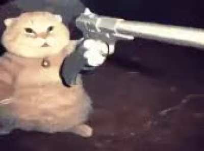 "Is this cat any good" posts are now temporarily BANNED.