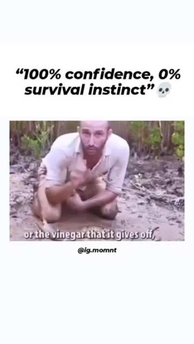 Well, It didn't actually bite