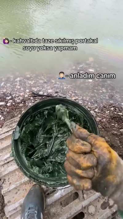 Canım yeşil gresyağı &ccedil;ekti
