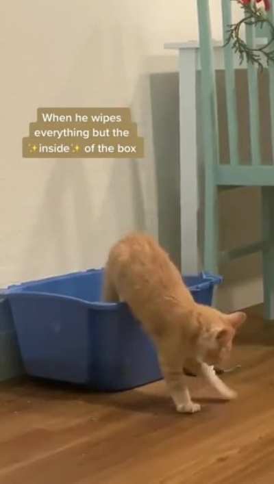 Wiping even the air..