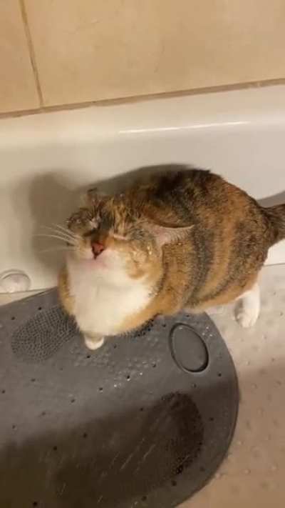 Shower!