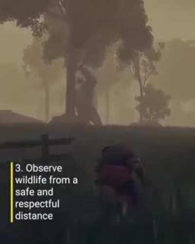 PETA did a funny. First time ever they made me LOL.
