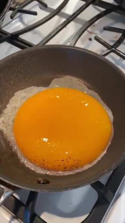Absolute unit of an egg 