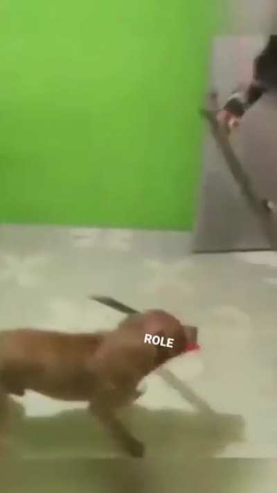 Sif Sudaka