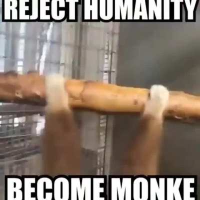 Thanks, I hate being human…