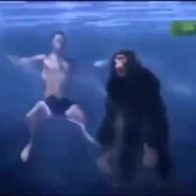Don&rsquo;t know if this has been posted before