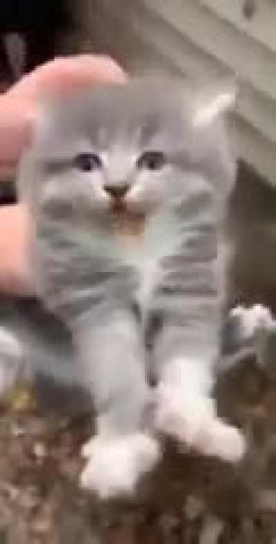 Oh He's not happy