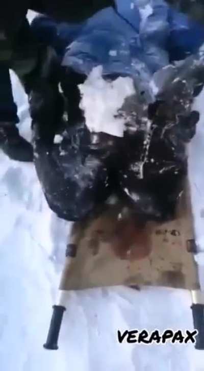 Свежемороженный