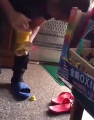 I hate duck toys