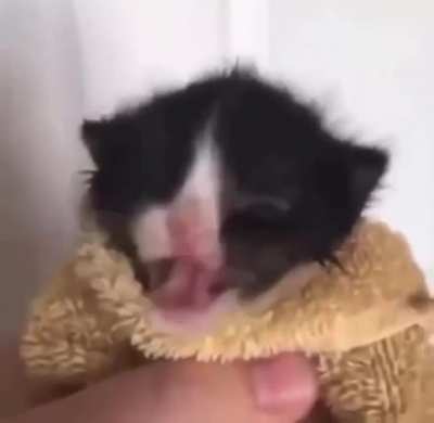 🥺🥺🥺