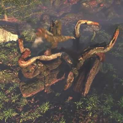 Forest Malfunction