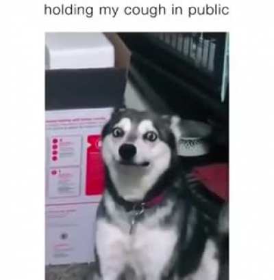 Segurando minha tosse em p&uacute;blico