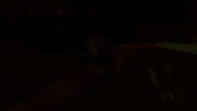 So I was just playing a bit of Grand Prix and the Bowser CPU got stuck here on grumble volcano...