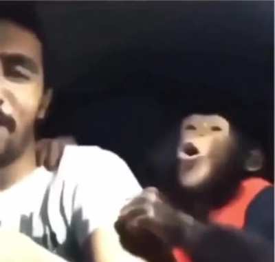 Monky go😂
