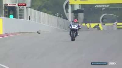 Jonas Folger hits a bird in FP1