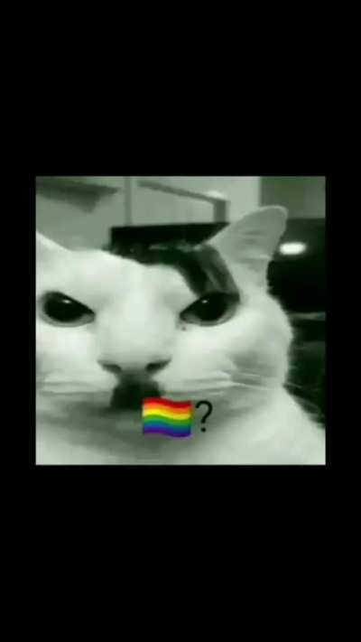 🏳️&zwj;🌈?
