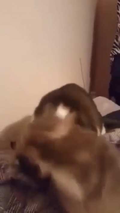 Activate the special attack!