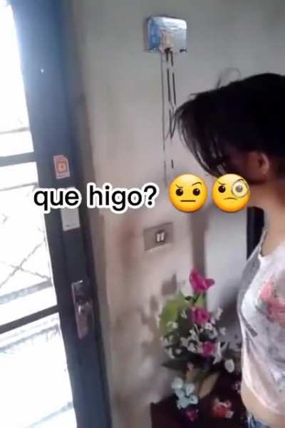 uigo uigo uigo😎