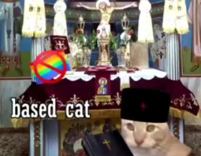 That cat is a fucking hero