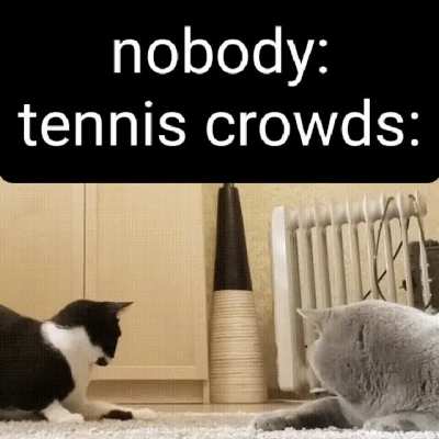 adding "nobody" doesn't make it funnier