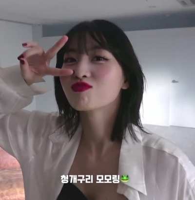 Momo aegyo