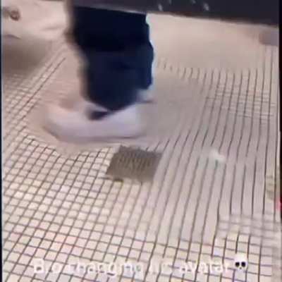a melhor parte foi aquela