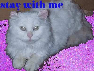 stay with me