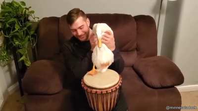 Duck taps her feet