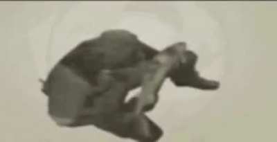 Why is Snake Eater eating a fish? Is he stupid?