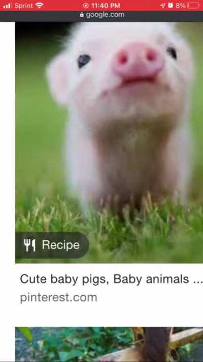 Recipe