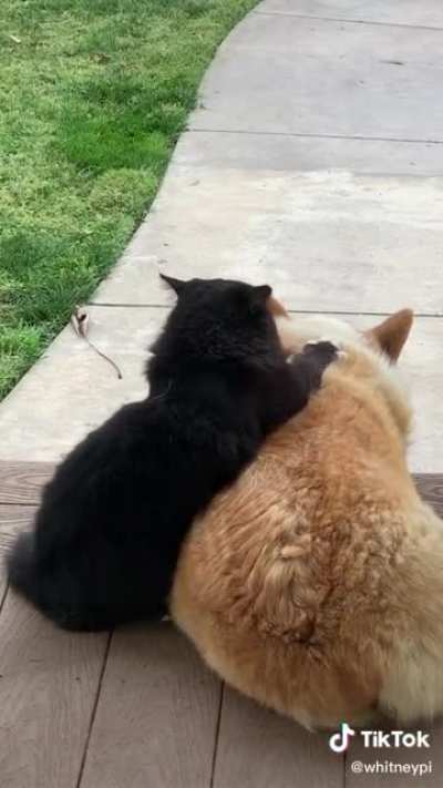 We&rsquo;ll get that laser next time